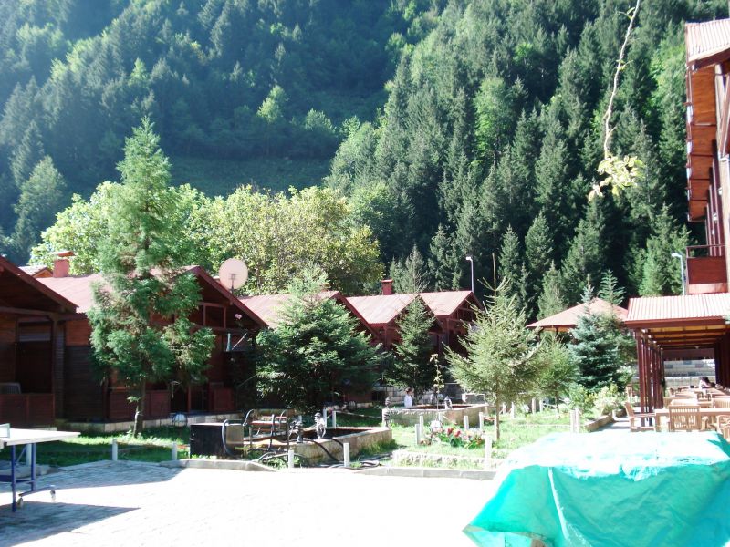 doÃƒÂƒÃ‚Â„ÃƒÂ‚Ã‚ÂŸu karadeniz 2010 165.jpg