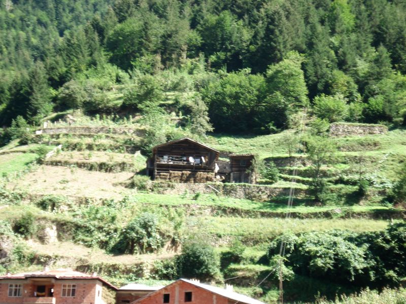 doÃƒÂƒÃ‚Â„ÃƒÂ‚Ã‚ÂŸu karadeniz 2010 207.jpg