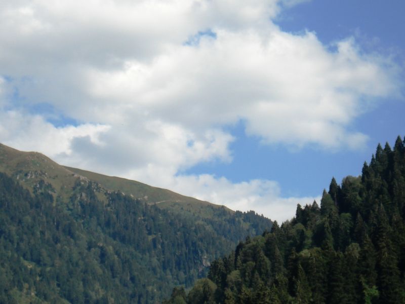 doÃƒÂƒÃ‚Â„ÃƒÂ‚Ã‚ÂŸu karadeniz 2010 243.jpg