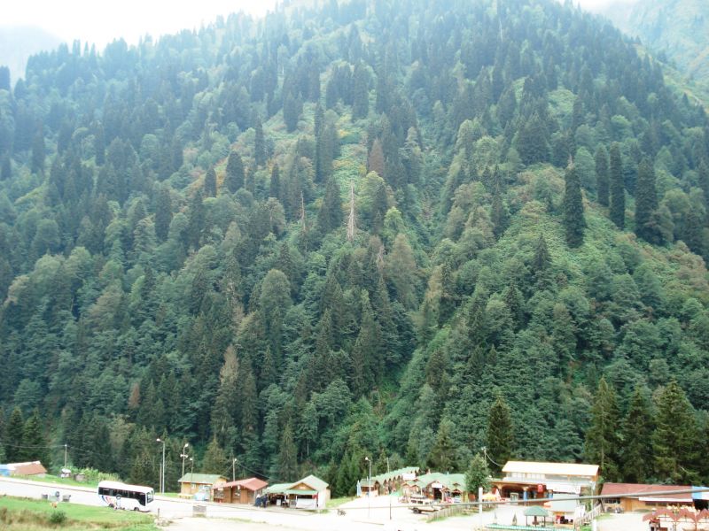 doÃƒÂƒÃ‚Â„ÃƒÂ‚Ã‚ÂŸu karadeniz 2010 281.jpg