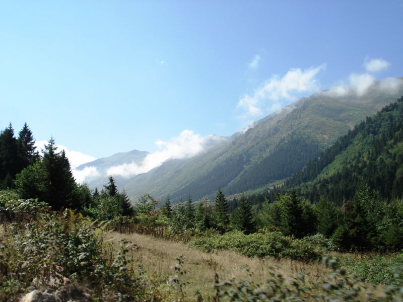 doÃƒÂƒÃ‚Â„ÃƒÂ‚Ã‚ÂŸu karadeniz 2010 326.jpg