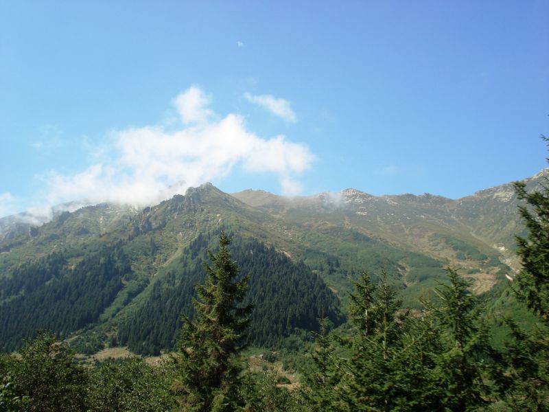 doÃƒÂƒÃ‚Â„ÃƒÂ‚Ã‚ÂŸu karadeniz 2010 335.jpg