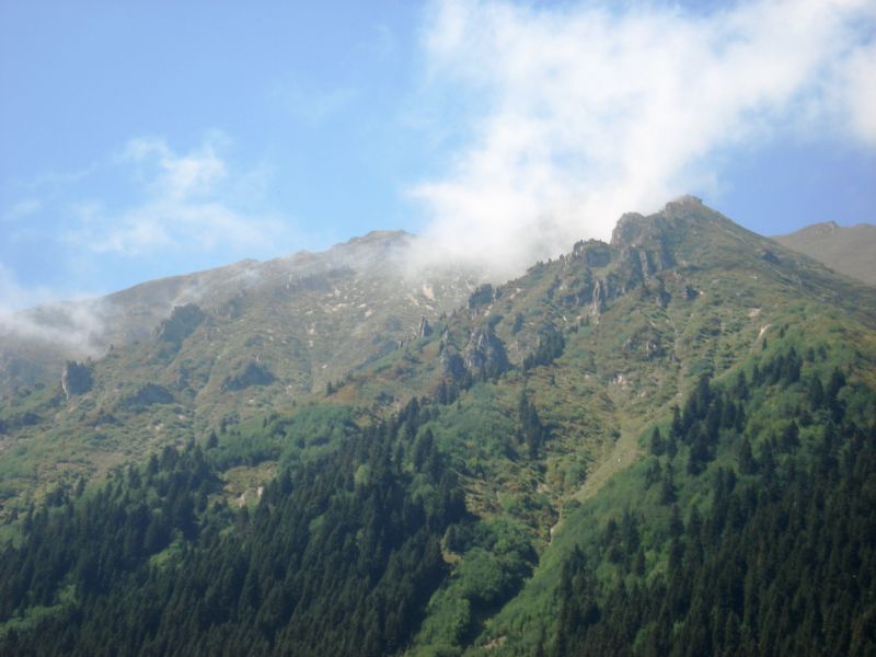 doÃƒÂƒÃ‚Â„ÃƒÂ‚Ã‚ÂŸu karadeniz 2010 339.jpg