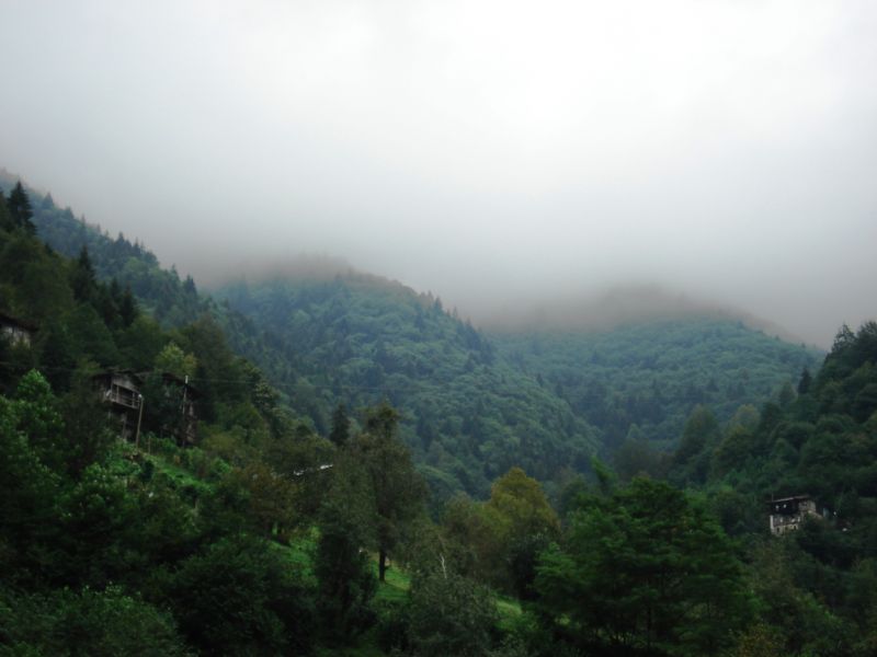 doÃƒÂƒÃ‚Â„ÃƒÂ‚Ã‚ÂŸu karadeniz 2010 424.jpg