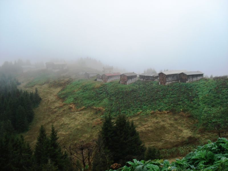 doÃƒÂƒÃ‚Â„ÃƒÂ‚Ã‚ÂŸu karadeniz 2010 430.jpg