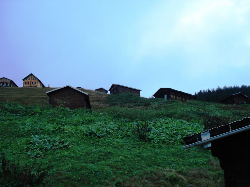 doÃƒÂƒÃ‚Â„ÃƒÂ‚Ã‚ÂŸu karadeniz 2010 490.jpg