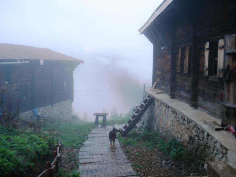 doÃƒÂƒÃ‚Â„ÃƒÂ‚Ã‚ÂŸu karadeniz 2010 519.jpg