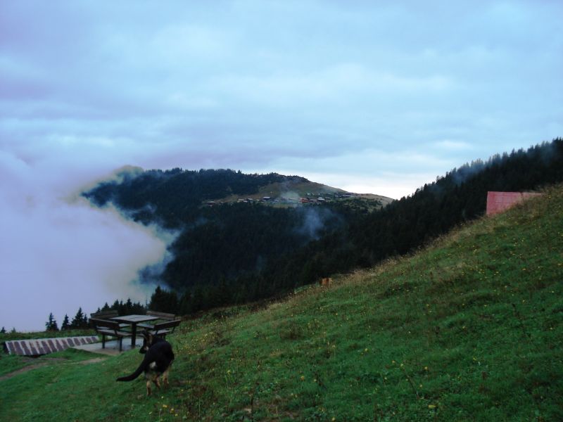 doÃƒÂƒÃ‚Â„ÃƒÂ‚Ã‚ÂŸu karadeniz 2010 529.jpg