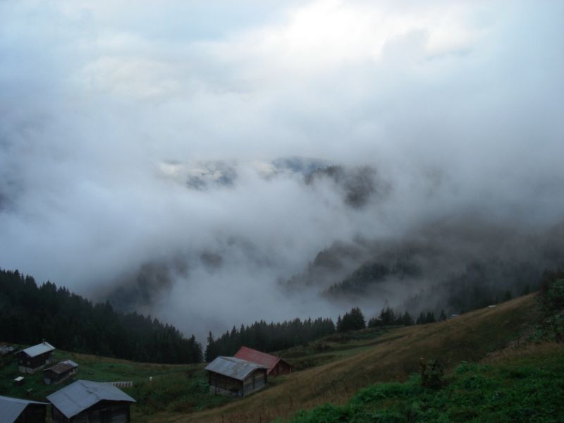 doÃƒÂƒÃ‚Â„ÃƒÂ‚Ã‚ÂŸu karadeniz 2010 537.jpg