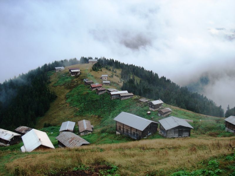 doÃƒÂƒÃ‚Â„ÃƒÂ‚Ã‚ÂŸu karadeniz 2010 539.jpg