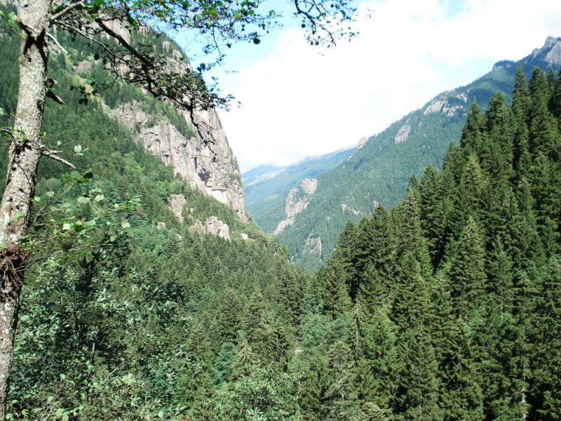 doÃƒÂƒÃ‚Â„ÃƒÂ‚Ã‚ÂŸu karadeniz 2010 573.jpg