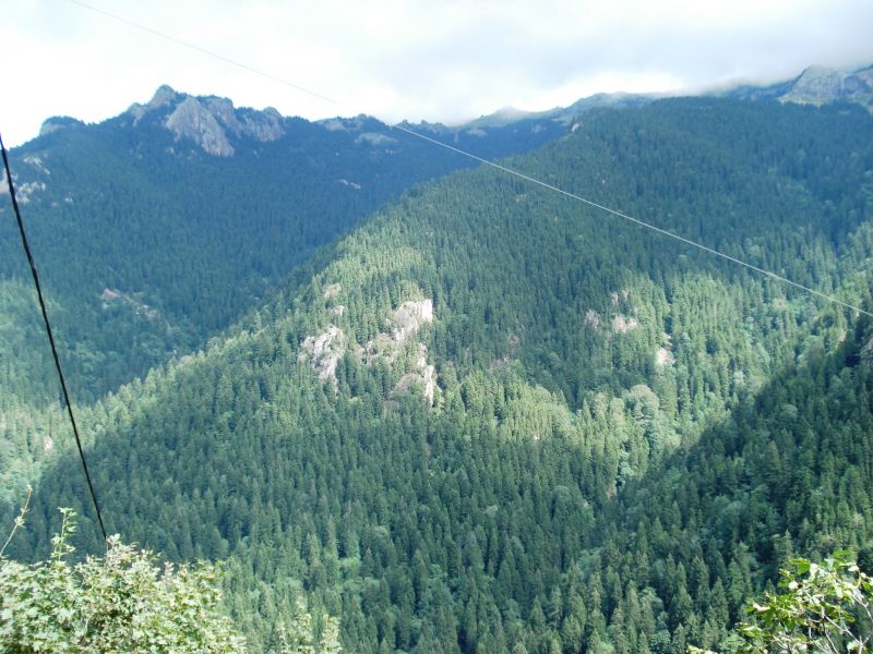 doÃƒÂƒÃ‚Â„ÃƒÂ‚Ã‚ÂŸu karadeniz 2010 598.jpg