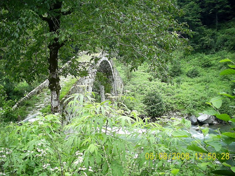 DOÃƒÂƒÃ‚Â„ÃƒÂ‚Ã‚ÂžU KARADENÃƒÂƒÃ‚Â„ÃƒÂ‚Ã‚Â°Z 2008 495.jpg