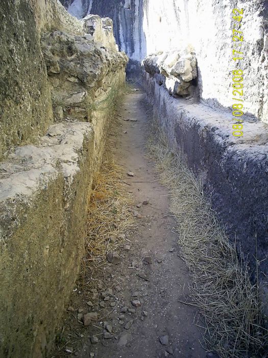 DOÃƒÂƒÃ‚Â„ÃƒÂ‚Ã‚ÂžU KARADENÃƒÂƒÃ‚Â„ÃƒÂ‚Ã‚Â°Z 2008 896.jpg