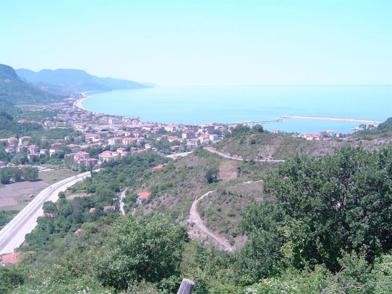 DSC00127 (Large).jpg