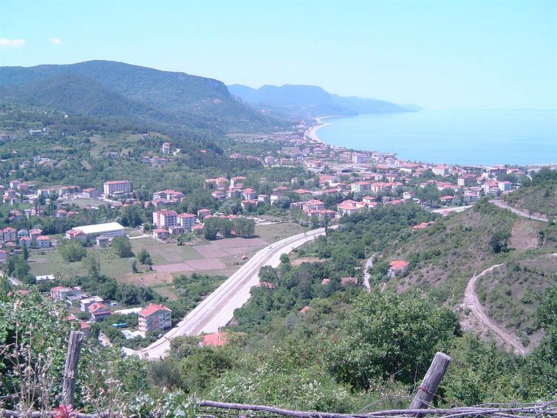 DSC00128 (Large).jpg