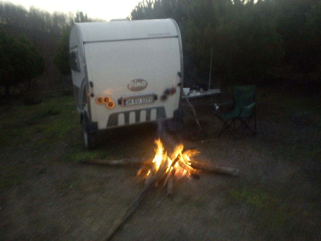 DSC00134.jpg