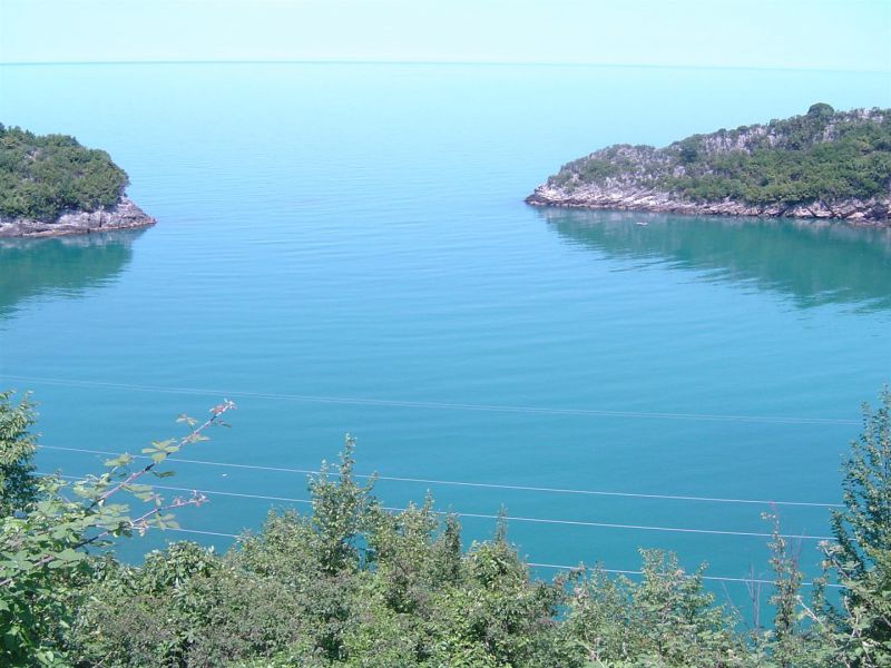 DSC00139 (Large).jpg