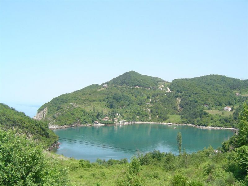 DSC00145 (Large).jpg