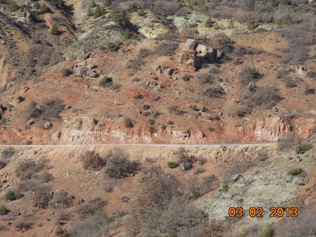 DSC00148.JPG