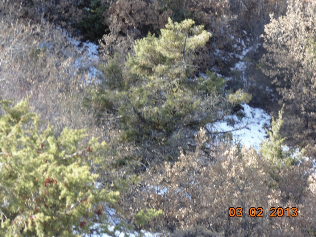 DSC00151.JPG