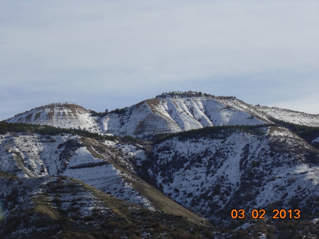 DSC00153.JPG