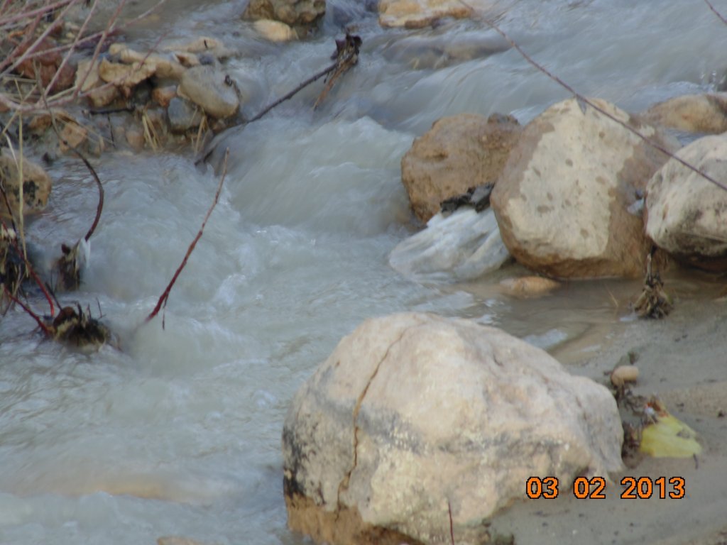 DSC00170.JPG