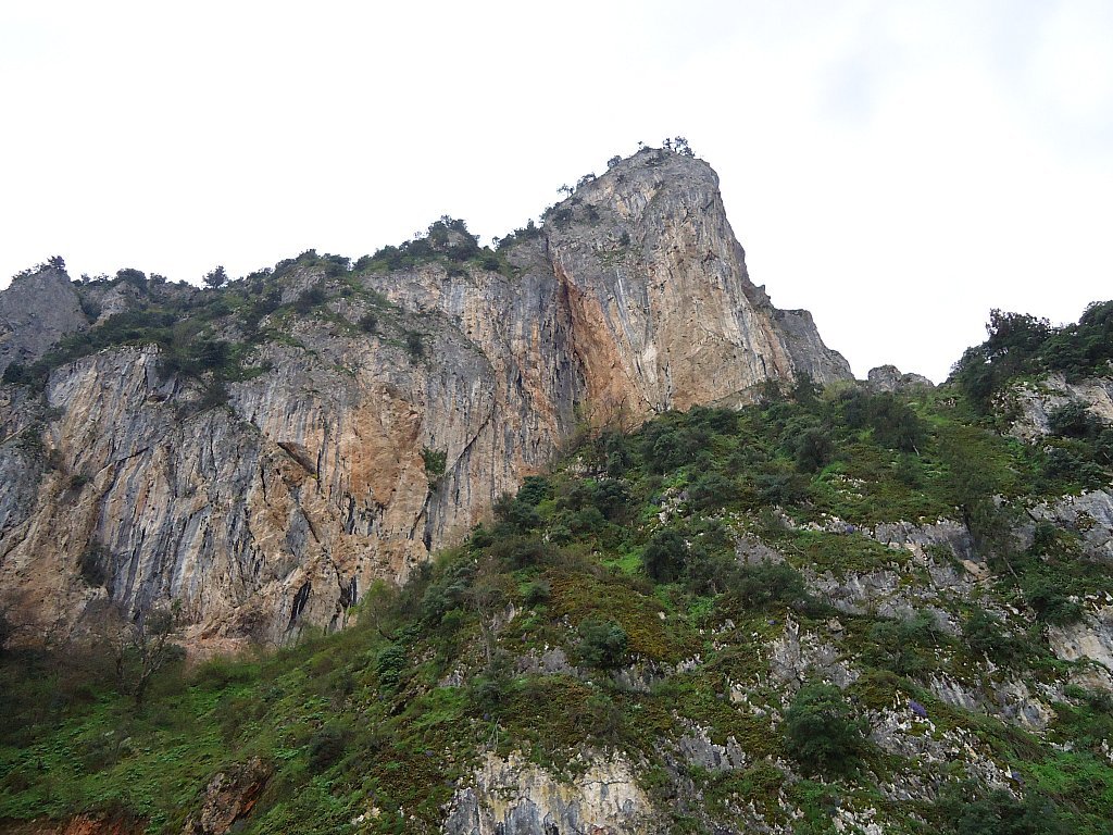 DSC00332.jpg