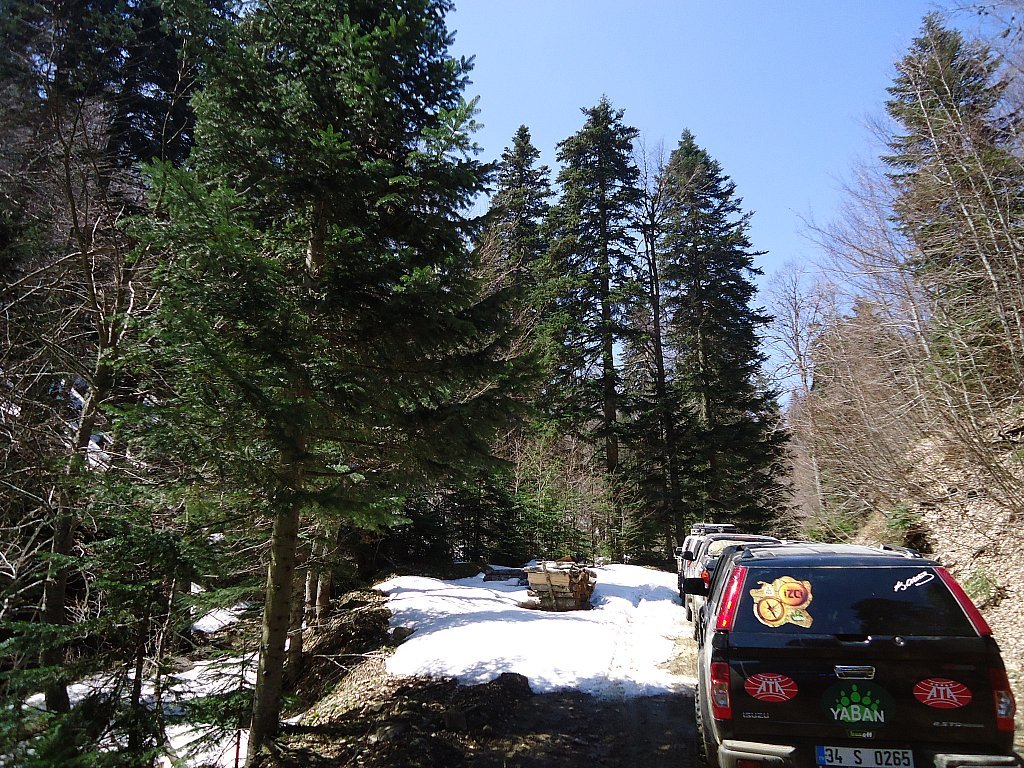 DSC00373.jpg