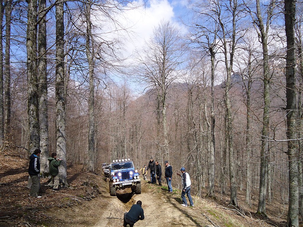 DSC00375.jpg