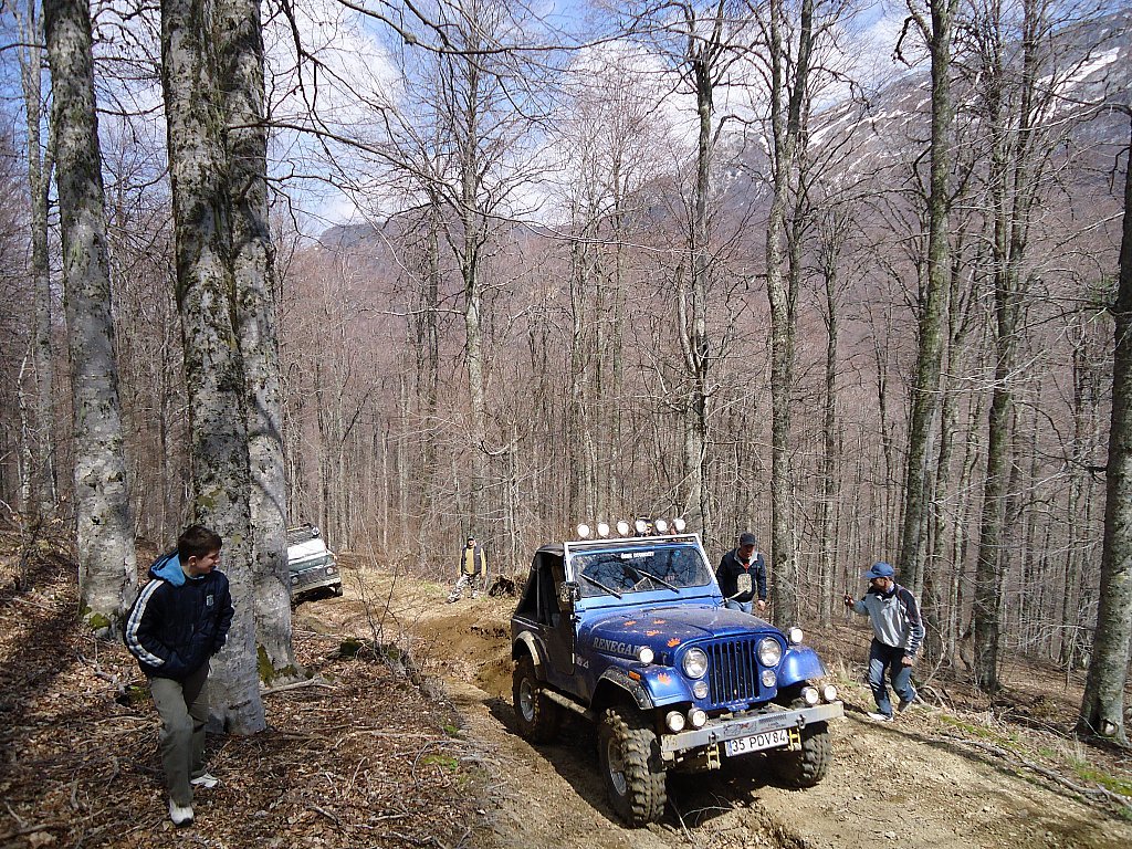 DSC00376.jpg