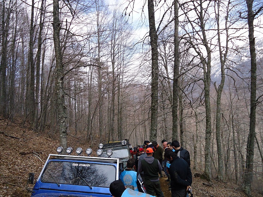 DSC00385.jpg