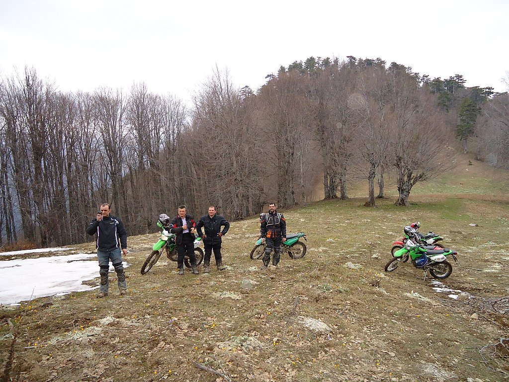 DSC00390.jpg