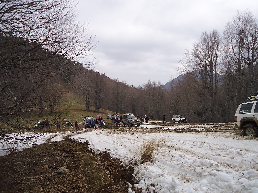 DSC00392.jpg
