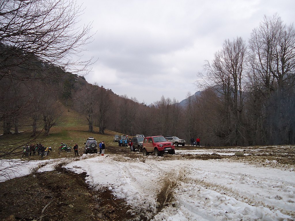 DSC00395.jpg