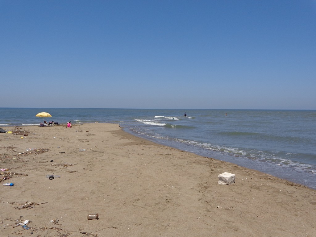 DSC00491.JPG