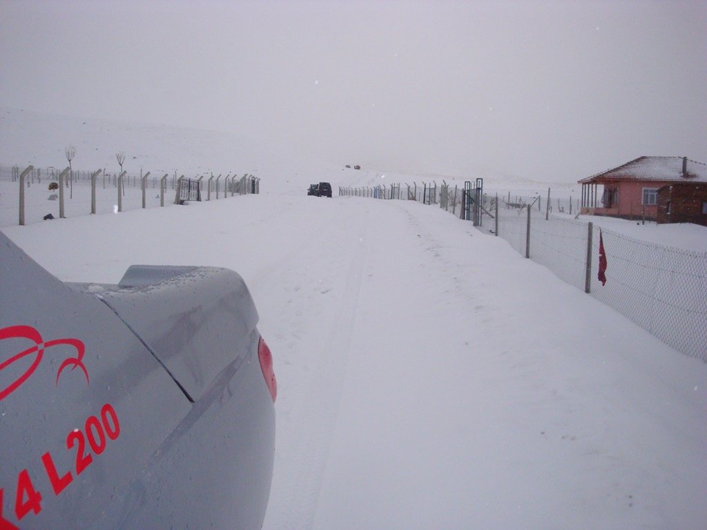 DSC00494.JPG