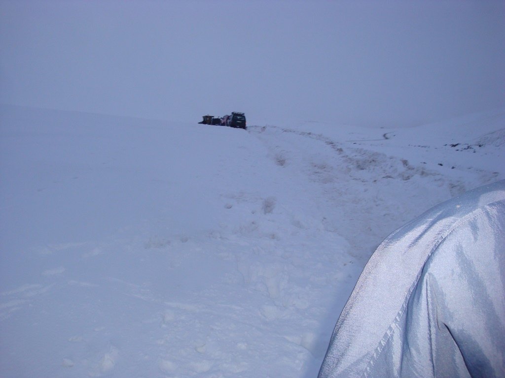 DSC00502.JPG