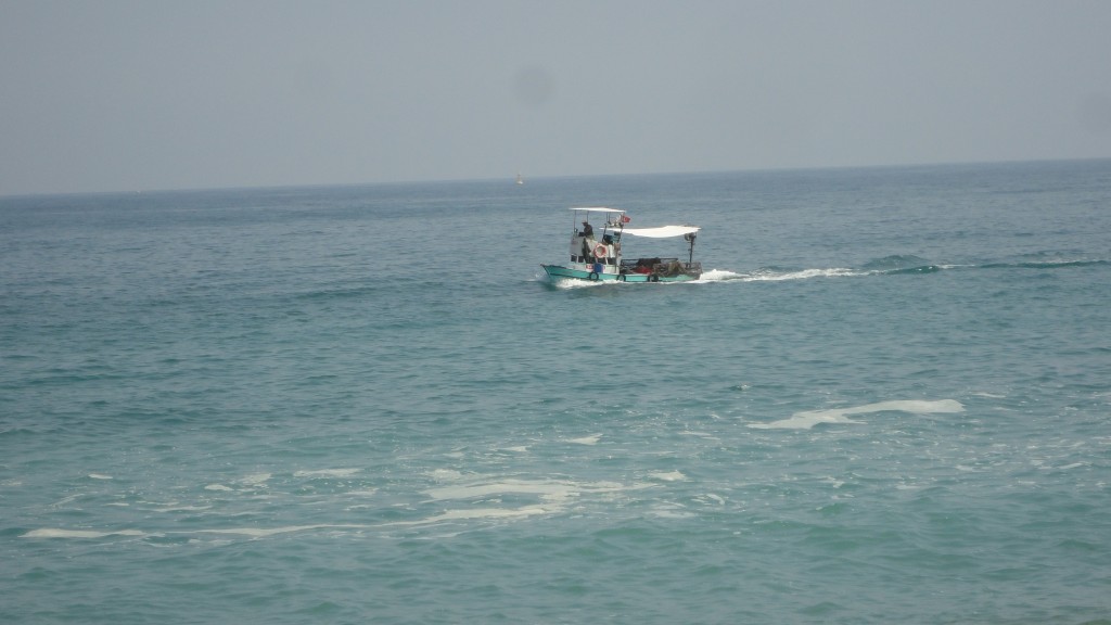 DSC01156.JPG