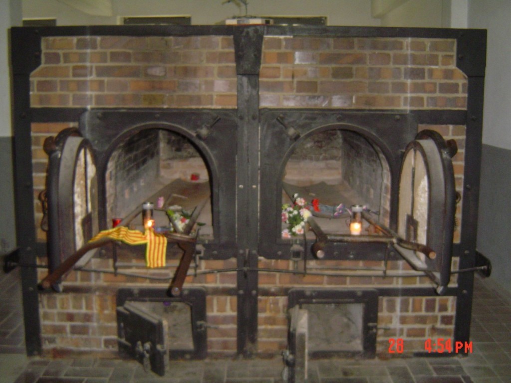 DSC01457 (Large).JPG