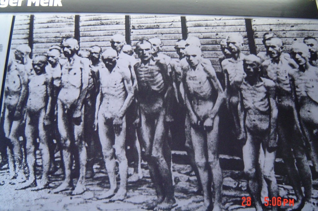 DSC01476 (Large).JPG