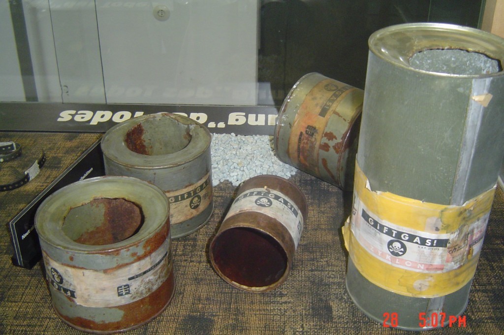 DSC01477 (Large).JPG