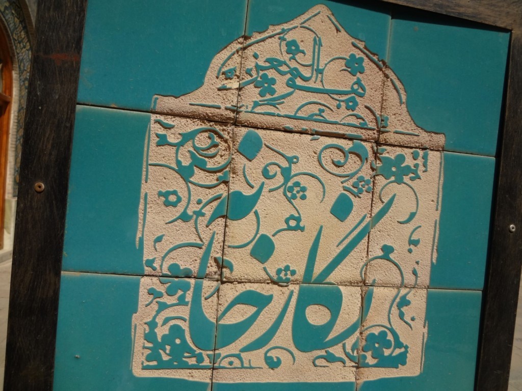 DSC02176 (Large).JPG