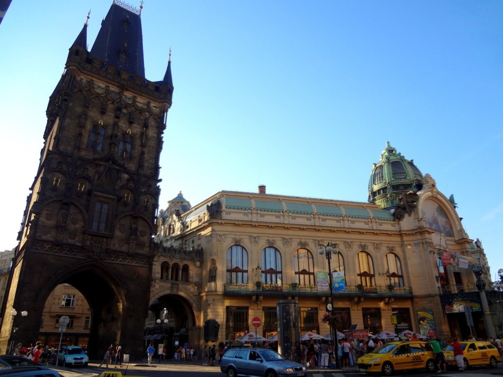 DSC02391 (Large).JPG