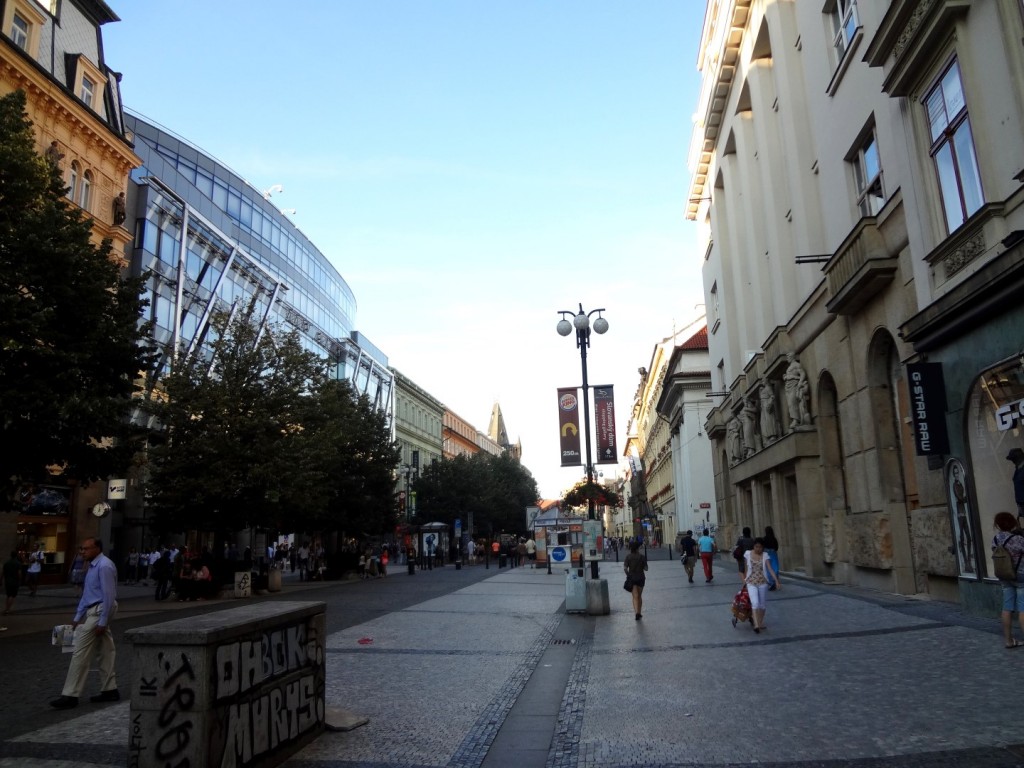 DSC02394 (Large).JPG