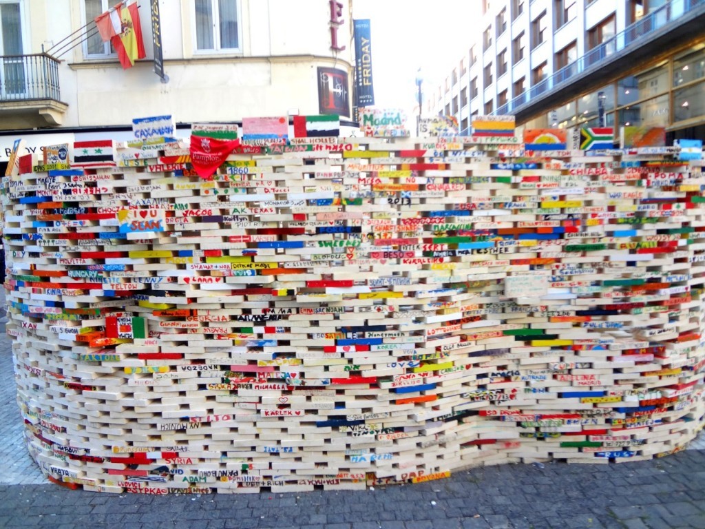 DSC02396 (Large).JPG