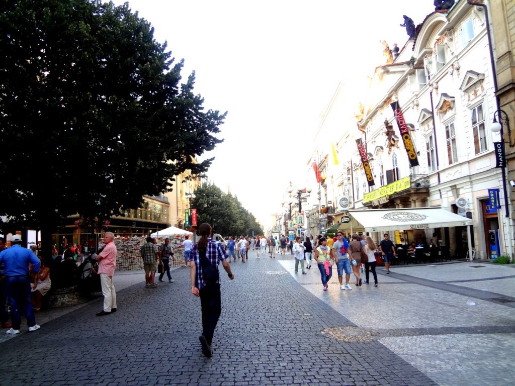 DSC02399 (Large).JPG