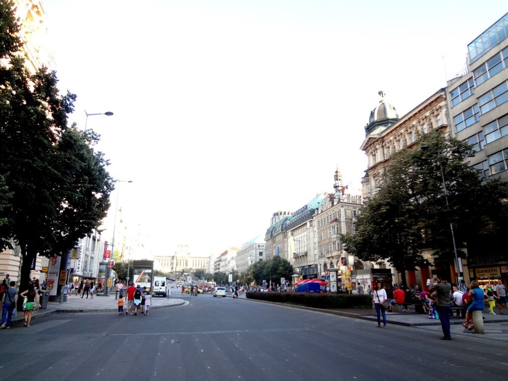 DSC02404 (Large).JPG