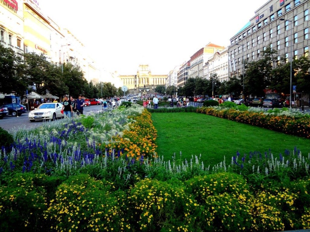 DSC02414 (Large).JPG