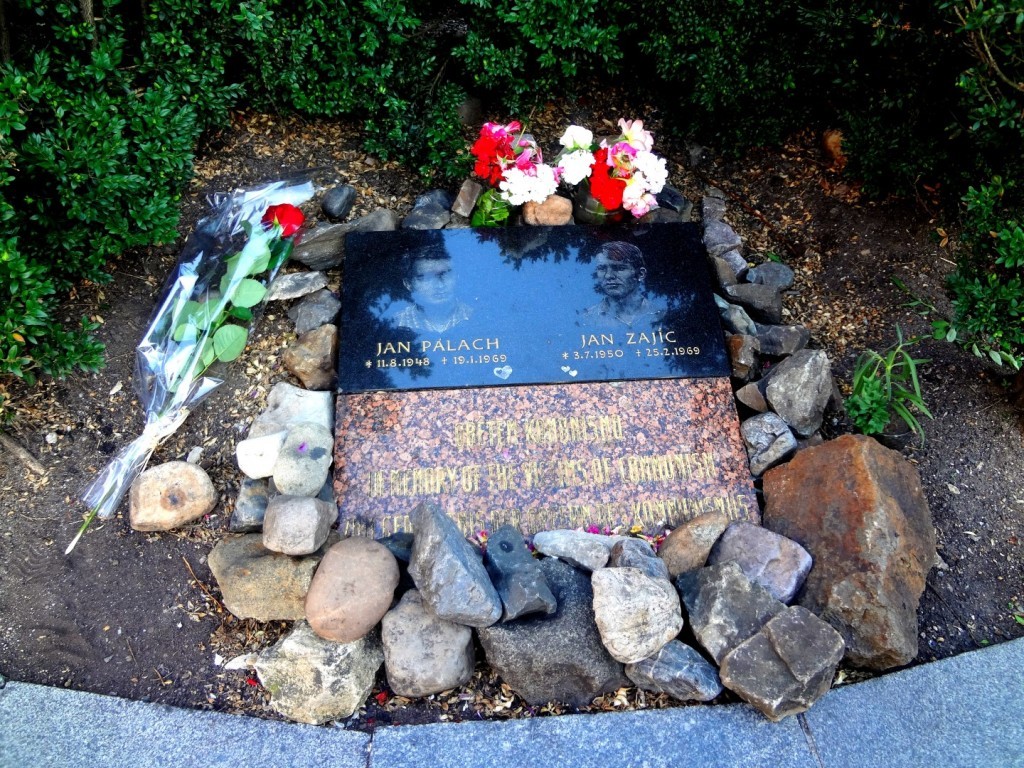 DSC02415 (Large).JPG